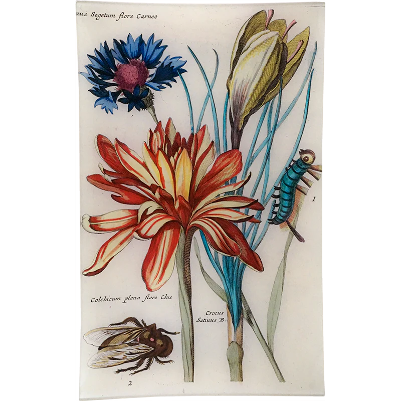 3 Flowers
