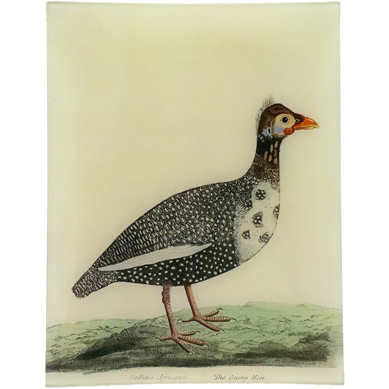 The Guiny Hen