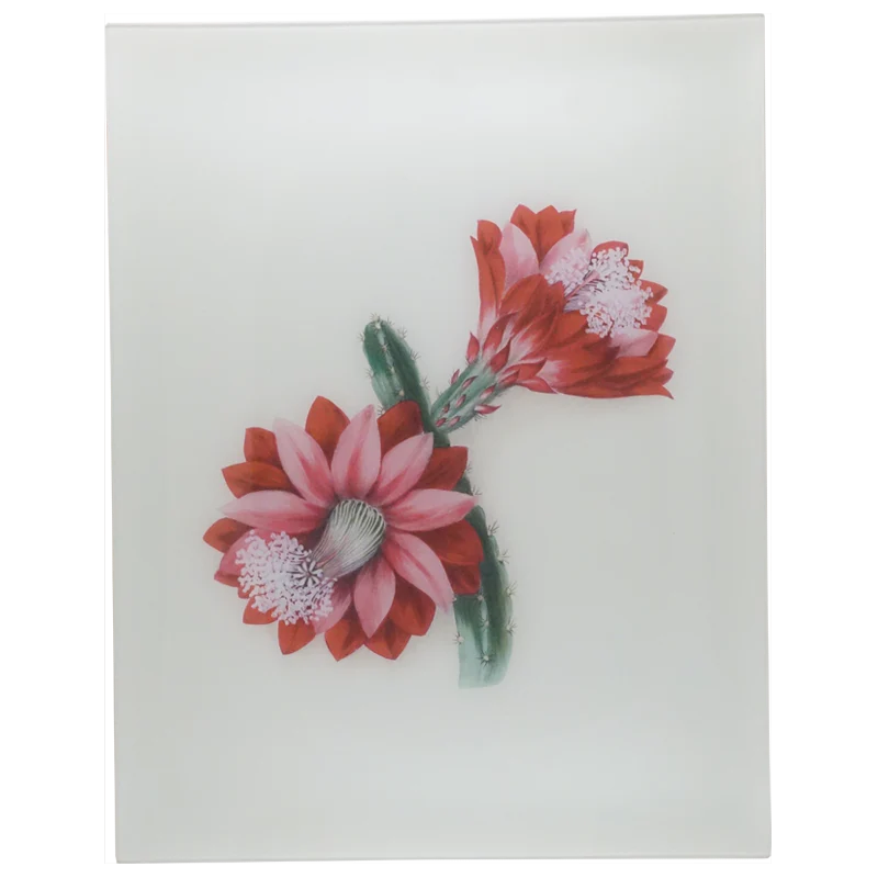 Flora Belles