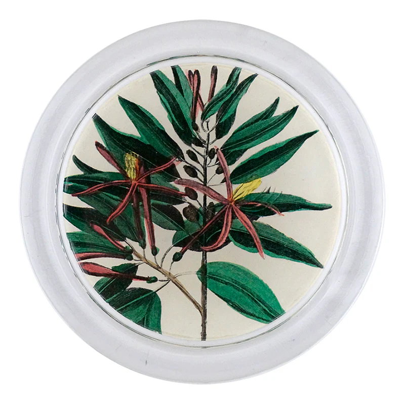 Caribbean Bark Leaves