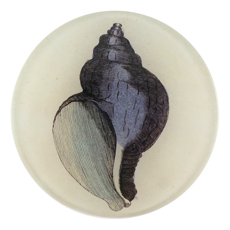 Purple Shell