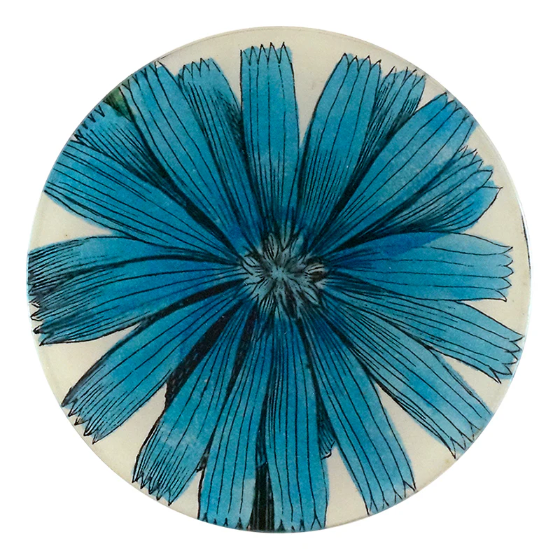 Chicory