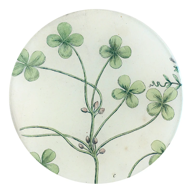 Lentille
