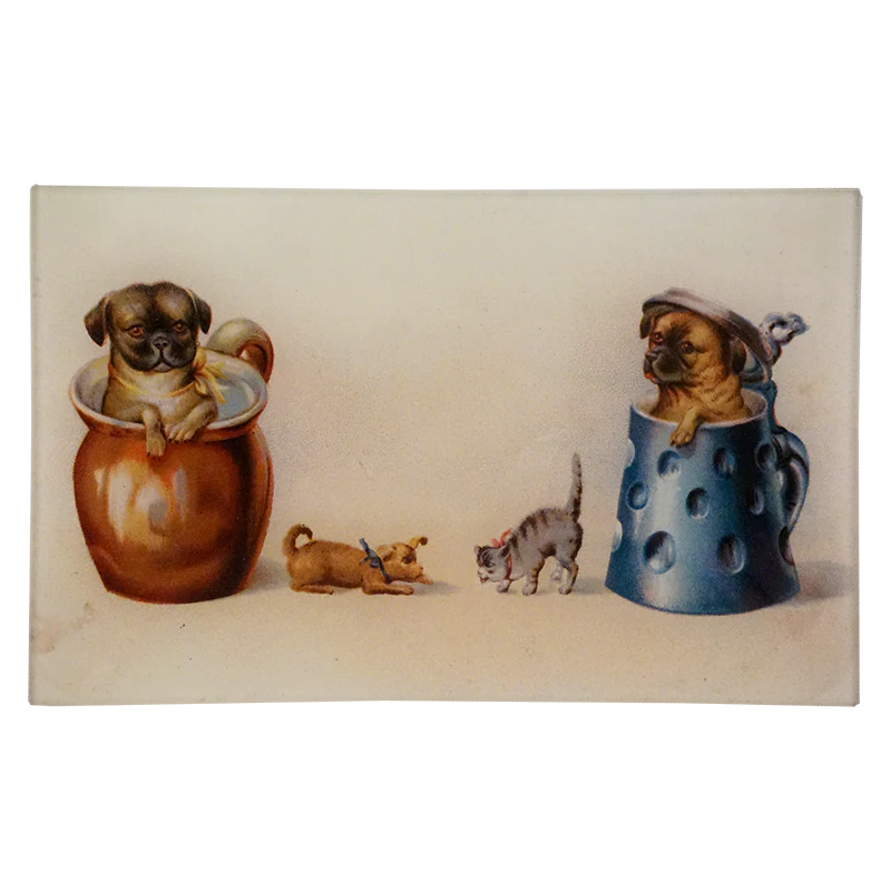 Pet Mugs