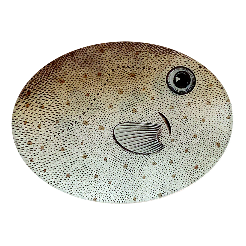 Horn Fish