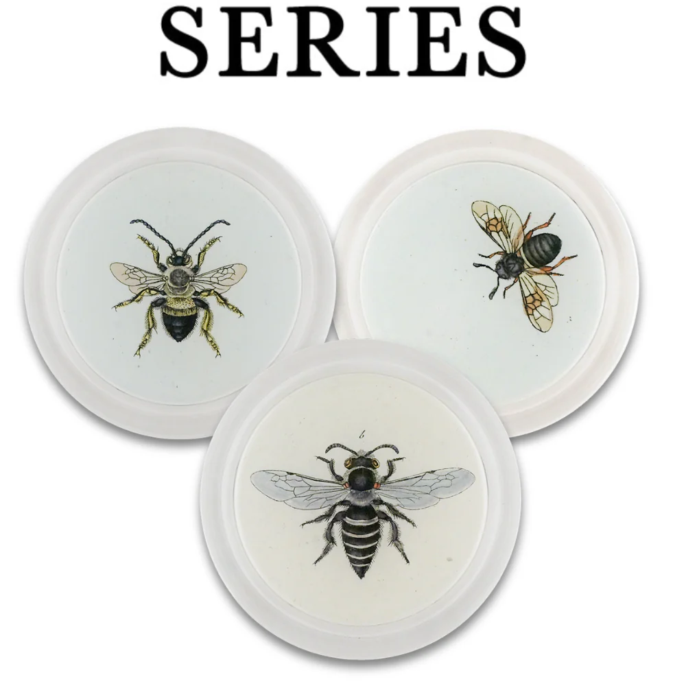 Bees & Wasps