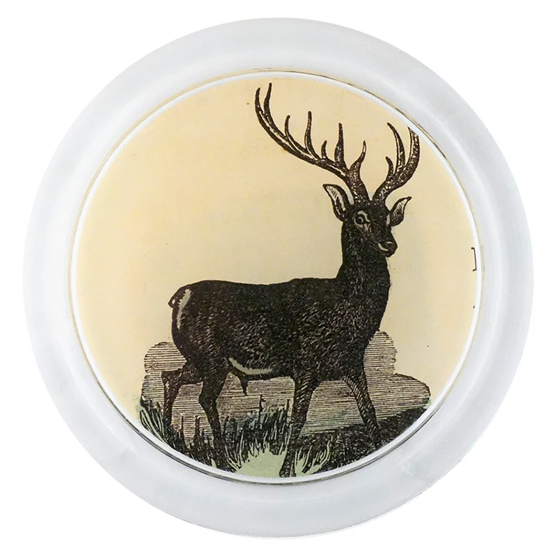 Stag