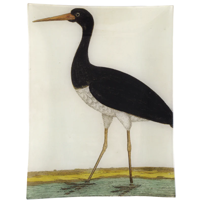 #7 - Black Stork