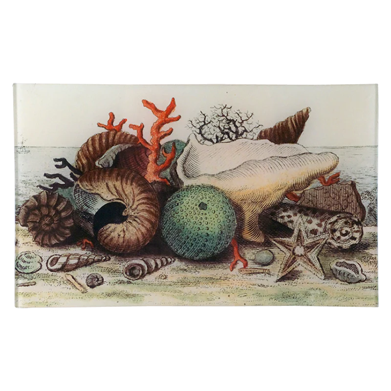Shells circa 1755