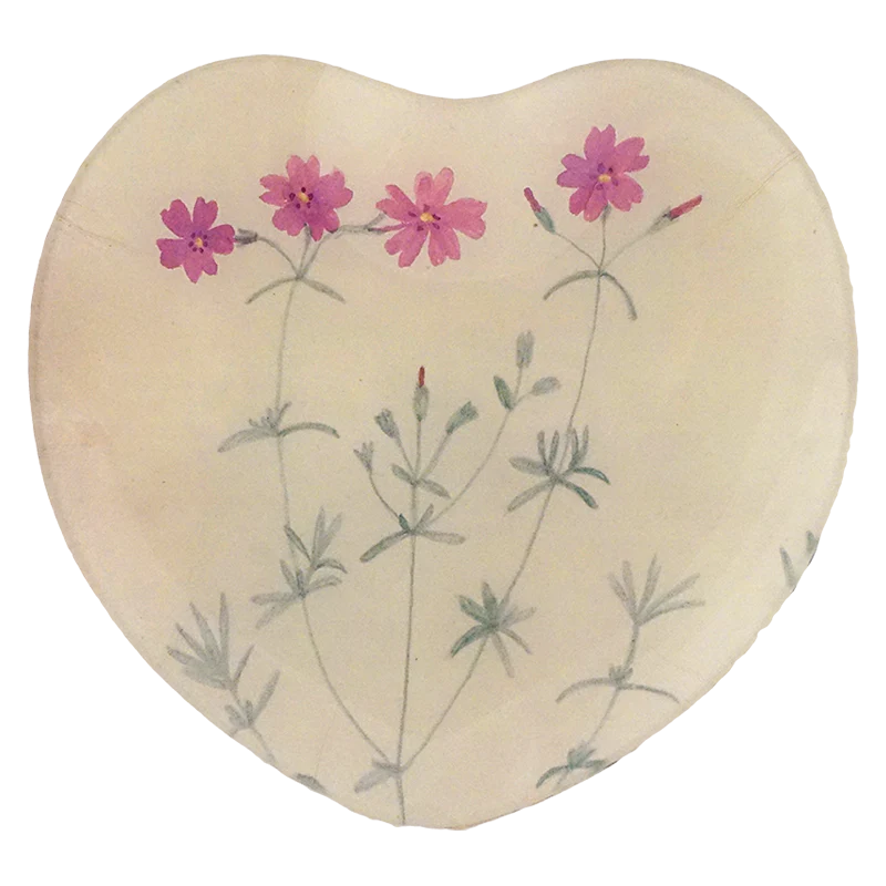 Moss Pink