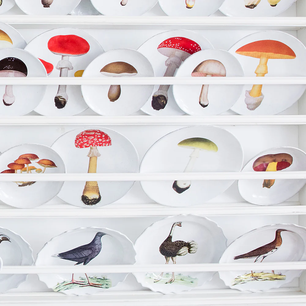 Agaric Fausse Orange Dinner Plate - Image 2