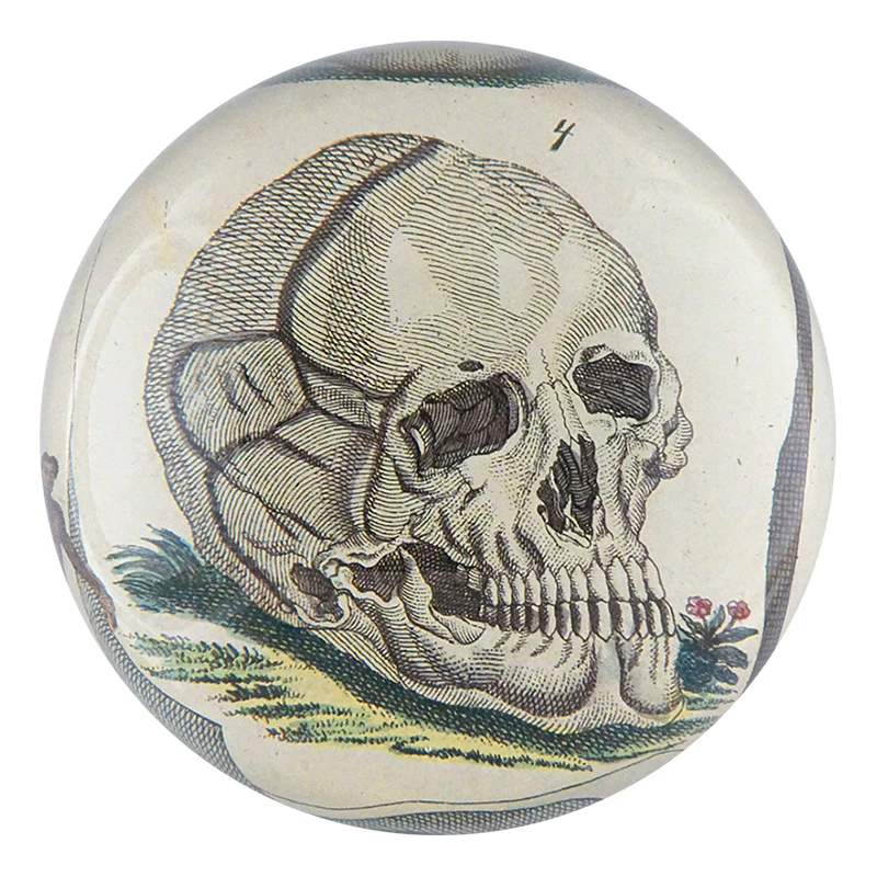Skull 4