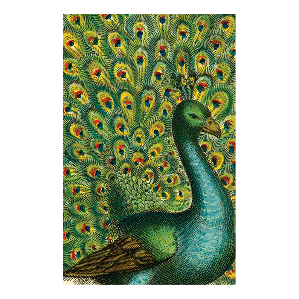 Coy Peacock