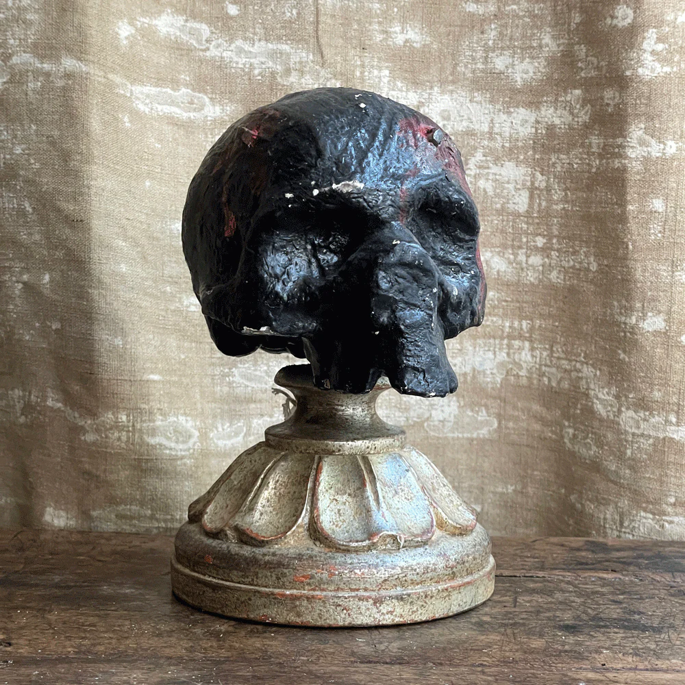 Early 20th Century Carved Austrian Skull