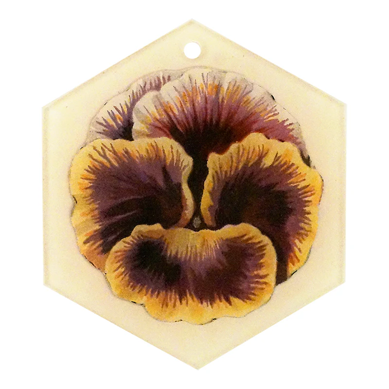 Yellow Pink (Pansy)