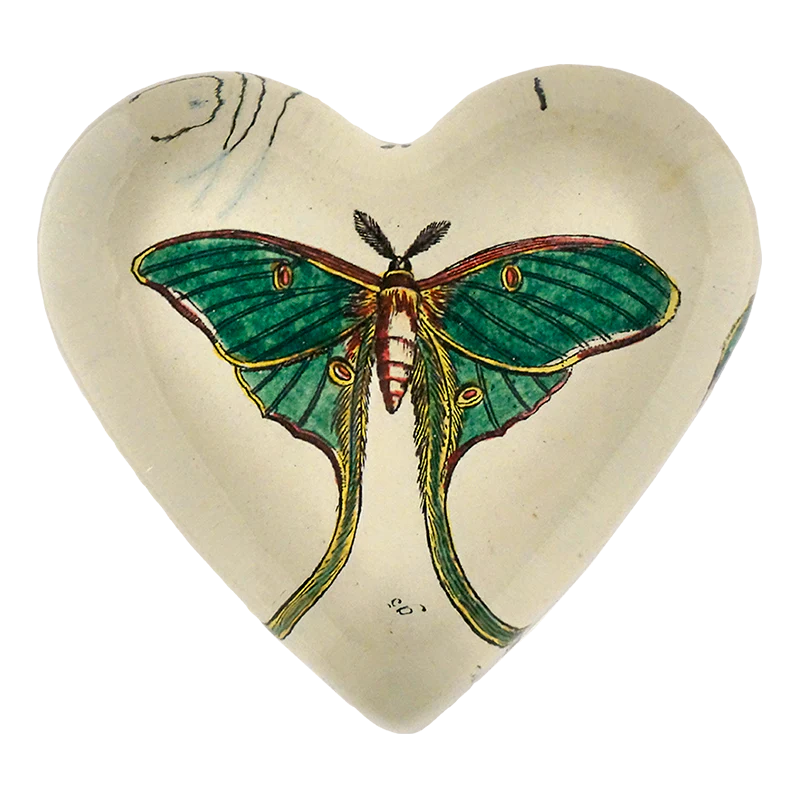 Green Moth