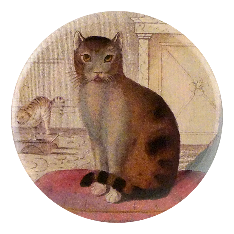 Calm Cat