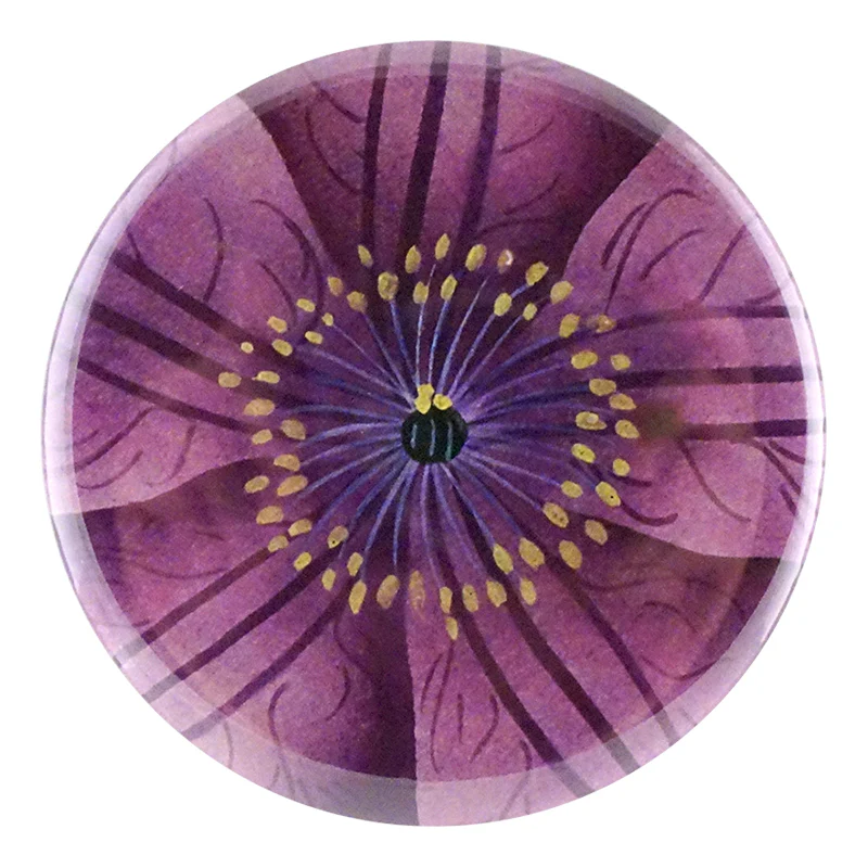 Jackmanii Clematis