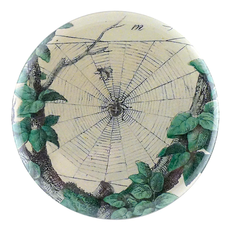 Leafy Web
