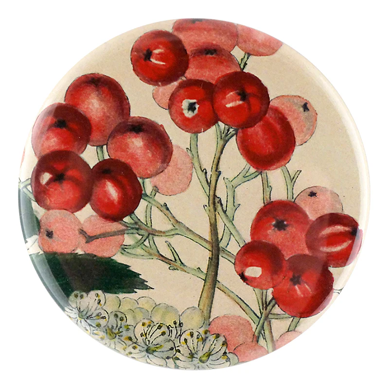 Mountain Ash Berries