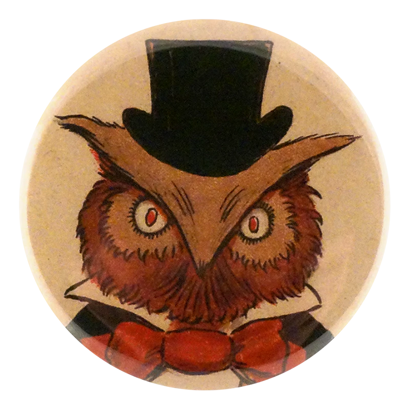 Sweet Owl
