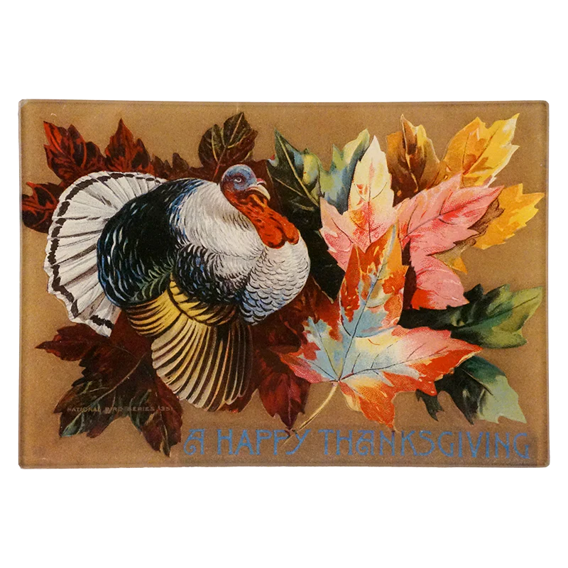A Happy Thanksgiving