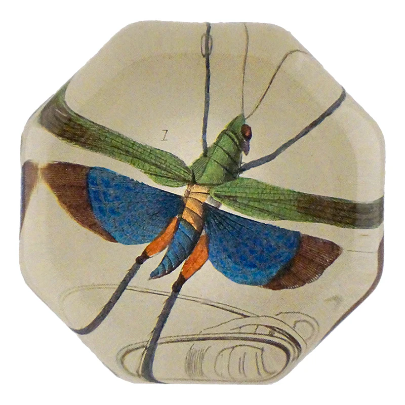Flying Locust