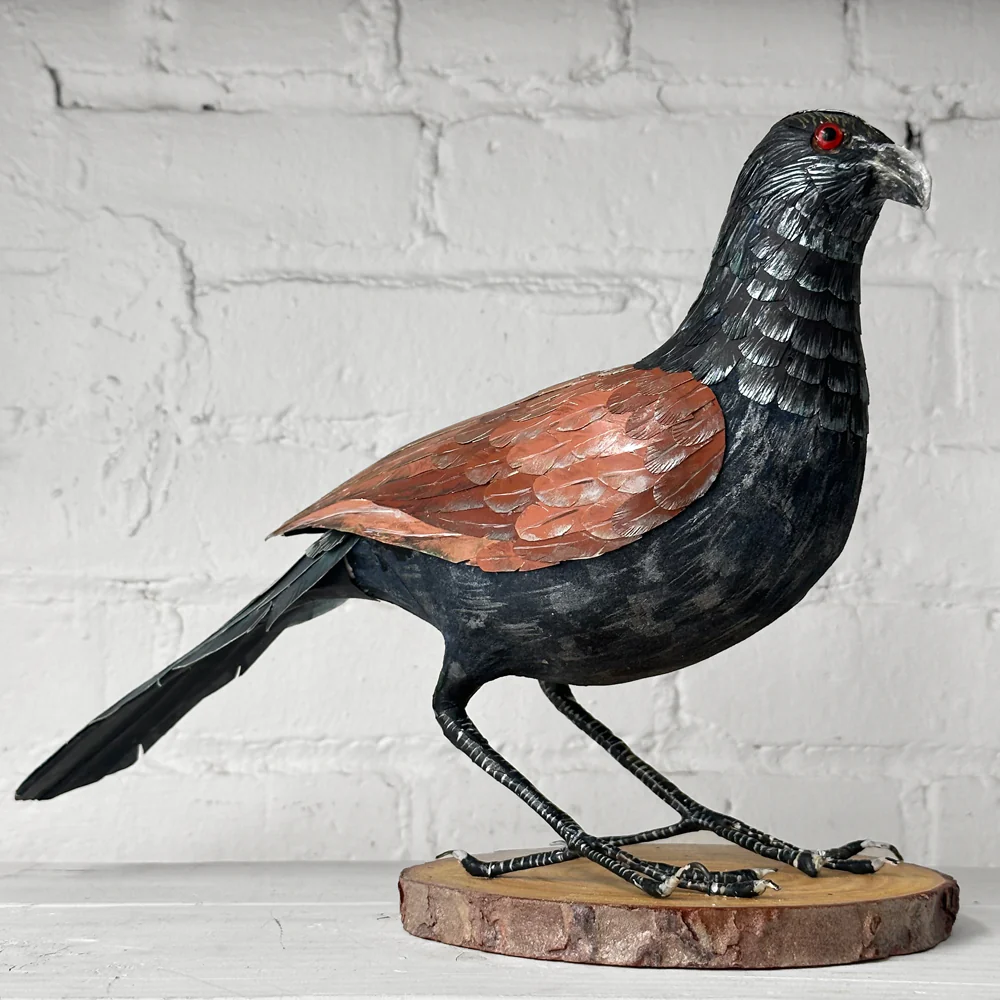 Papier-Mâché Greater Coucal Bird #37