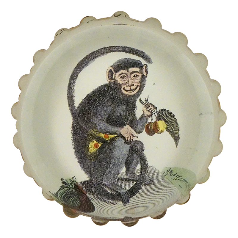 Great-Eared Monkey