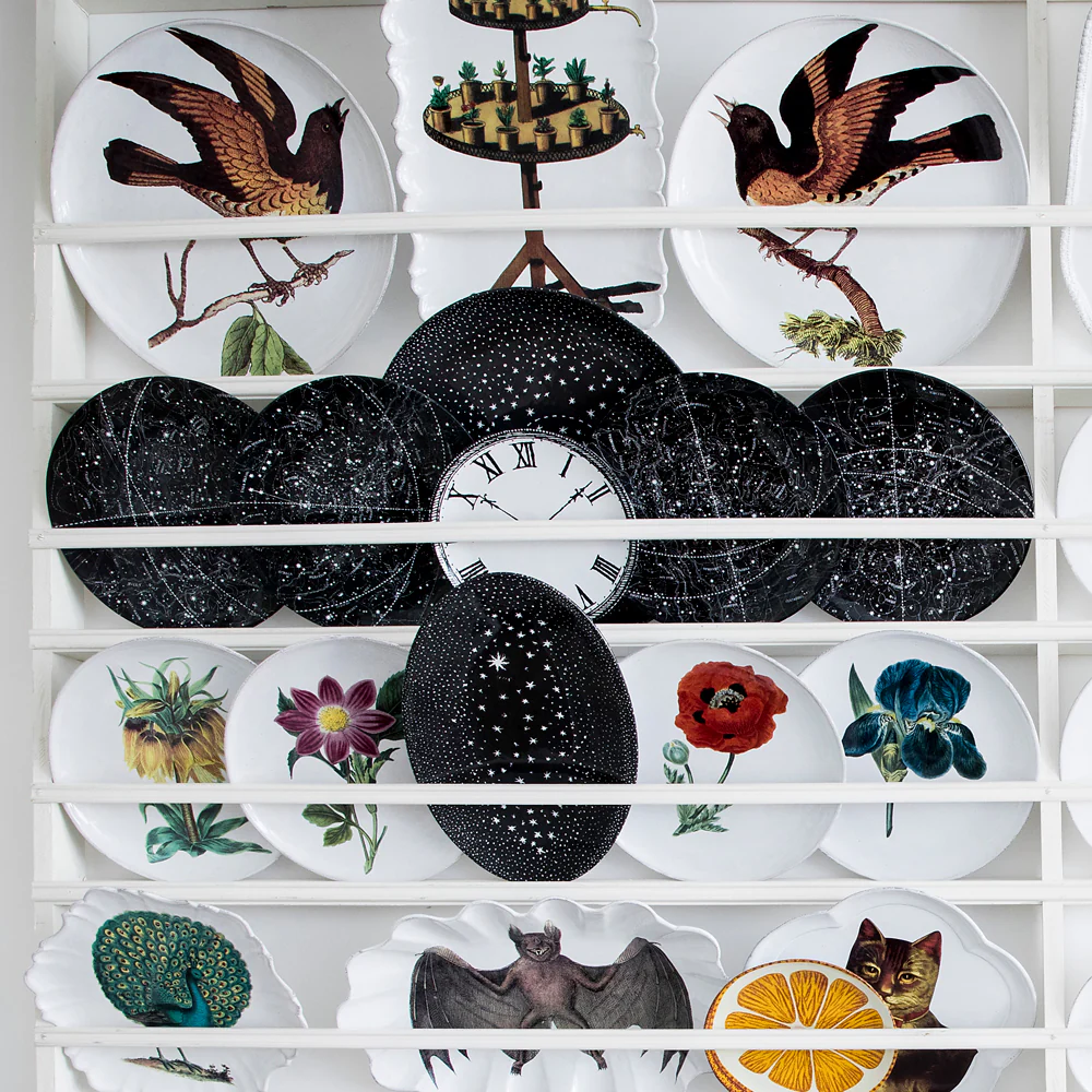 Sky Dinner Plate from April to July - Image 2