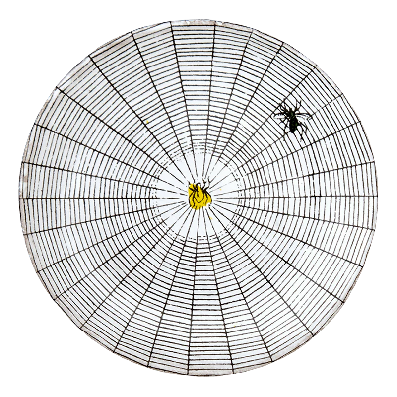 Spider Web Saucer