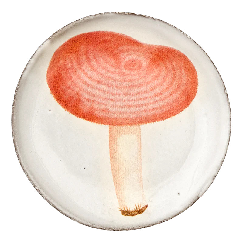 Agaric Meurtier Saucer
