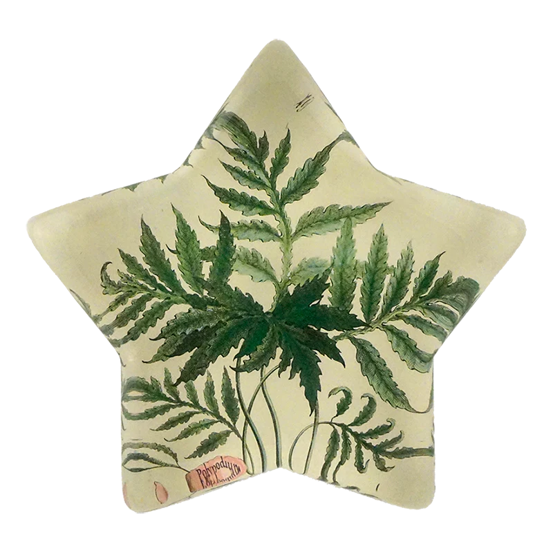 Leaf (Polypodium Sensibile)