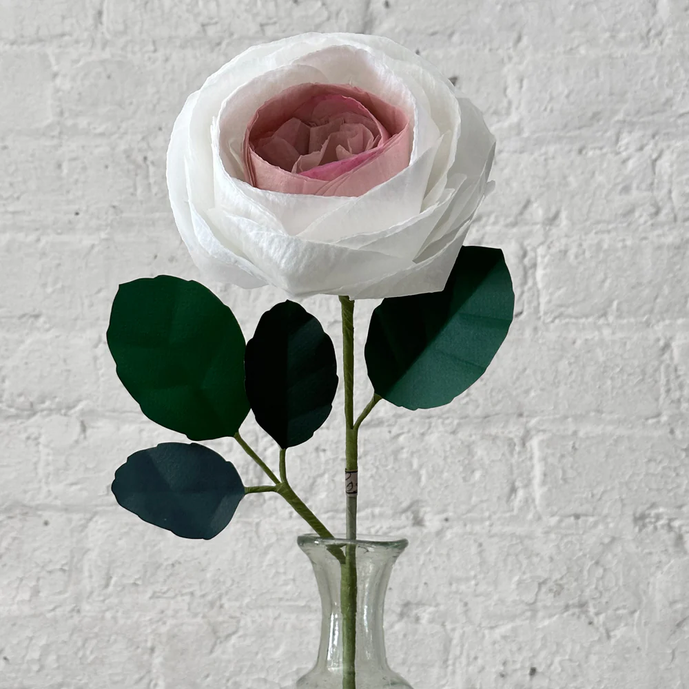 The Green Vase Chevalier Rose Stem (No. 1)