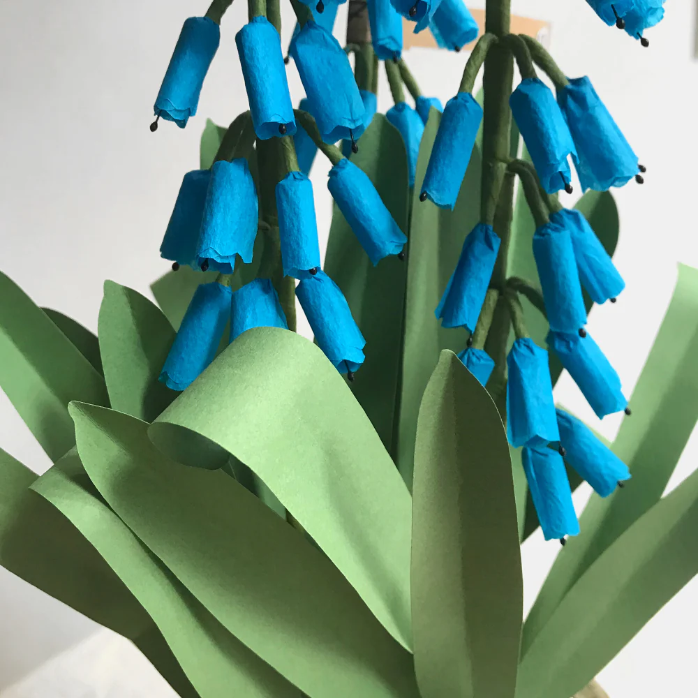 The Green Vase Potted Muscari - Image 2