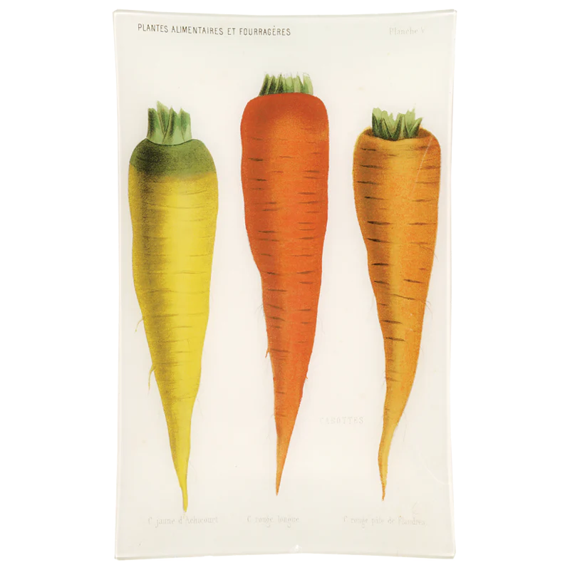 V - Carottes de Flandre (Vegetable)
